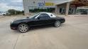 2002 BLACK FORD THUNDERBIRD (1FAHP60A82Y) , located at 4319 N Main Street, Cleburne, TX, 76033, (817) 221-0660, 32.435829, -97.384178 - Photo#6